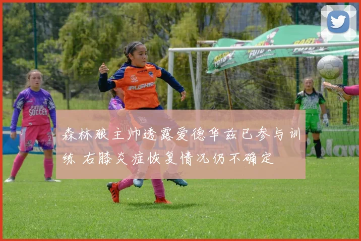 森林狼主帅透露爱德华兹已参与训练 右膝炎症恢复情况仍不确定