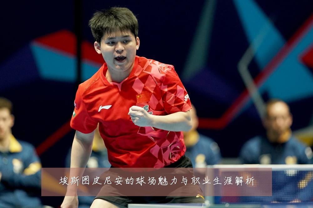 埃斯图皮尼安的球场魅力与职业生涯解析