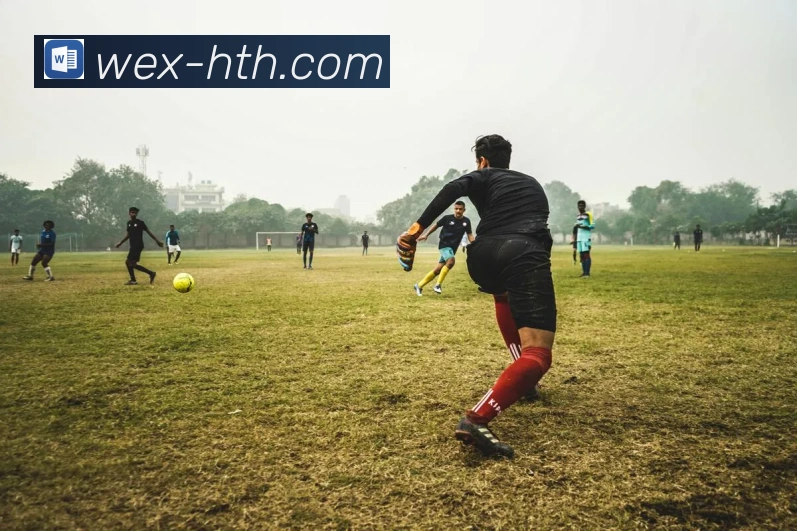 华体会平台展示图