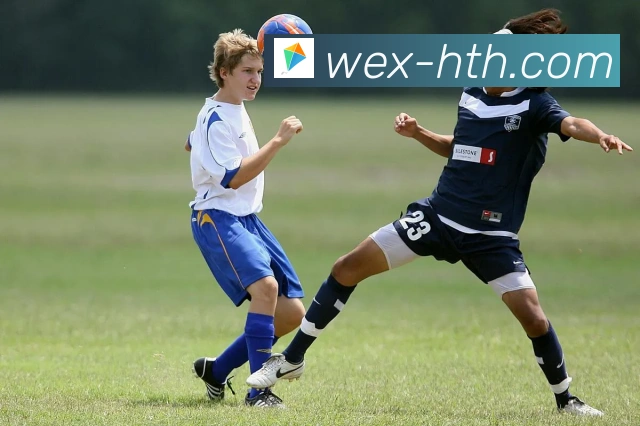 华体会官网全站App